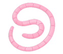 Beef Fallopian Tubes